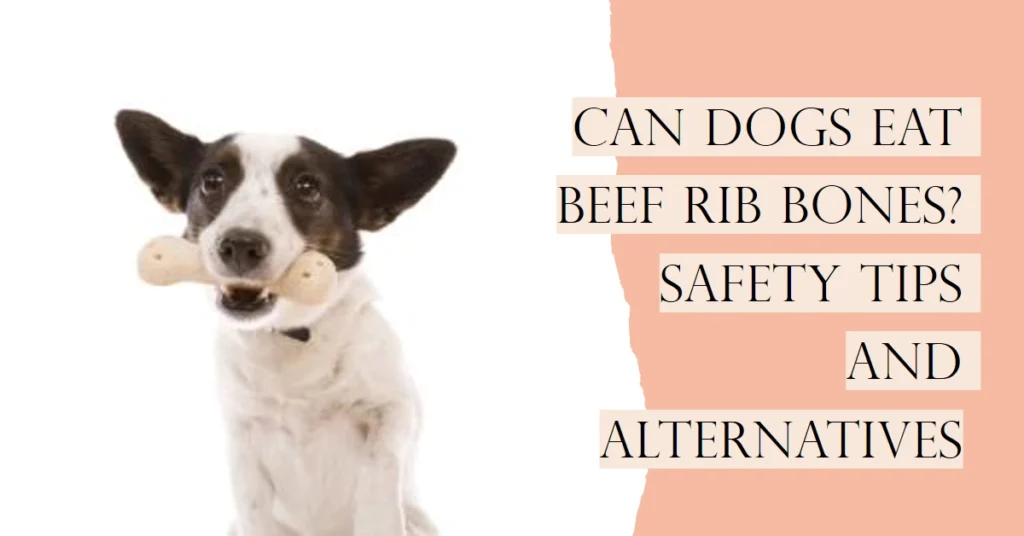 Can Dogs Have Rib Bones? Safety Tips And Alternative 2024