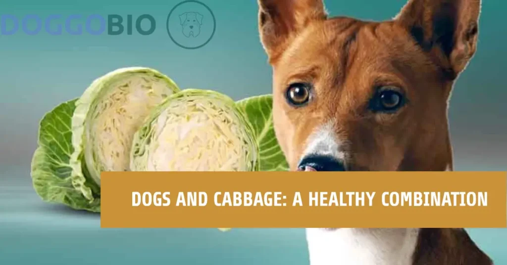 Can Dogs Eat Cabbage Safely? Discover the Answer Here!