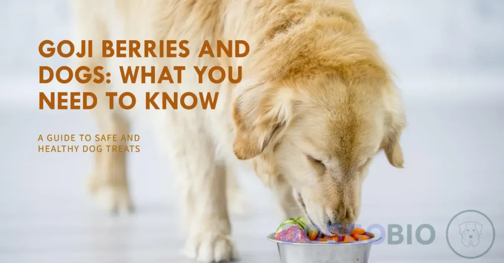 Can Dogs Eat Goji Berries? Unveiling Safety and Benefits