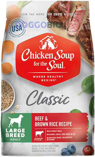 Chicken Soup for the Soul Small Bites